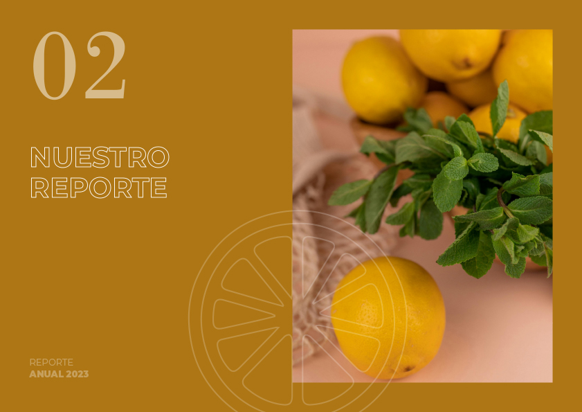 Veracruz 5